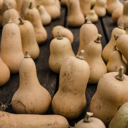 Abóbora Manteiga (Butternut)